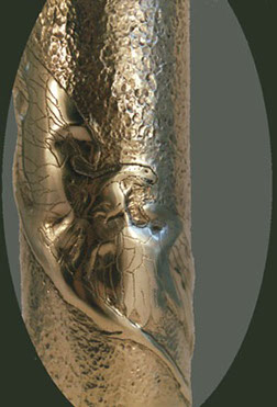 Shell eagle ready to fly